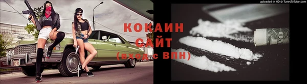 хмурый Липки