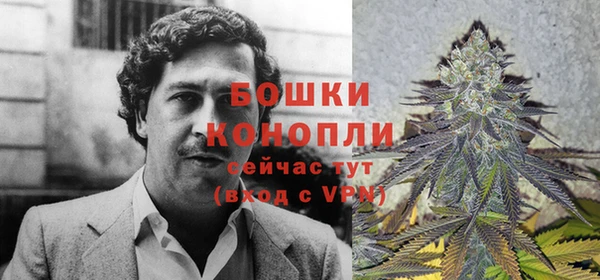 хмурый Липки