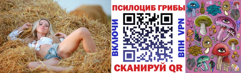 Купить закладки  Аткарск  Псилоцибиновые грибы ЛСД 